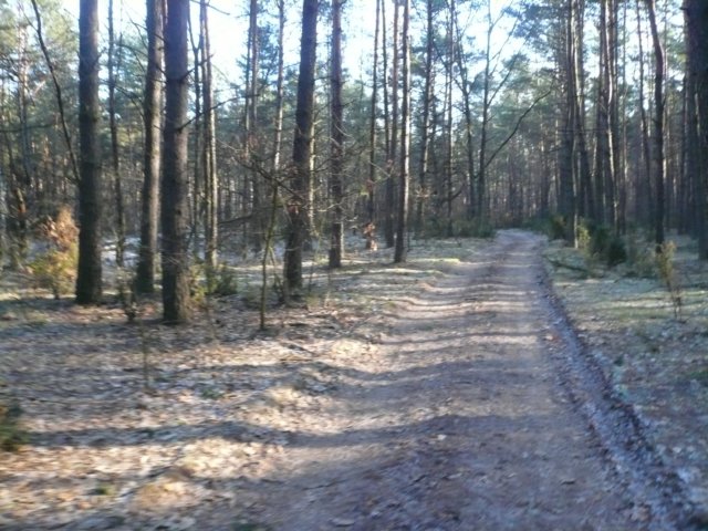 kuligwjulinku201120.jpg