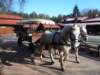 kuligwjulinku201142_small.jpg