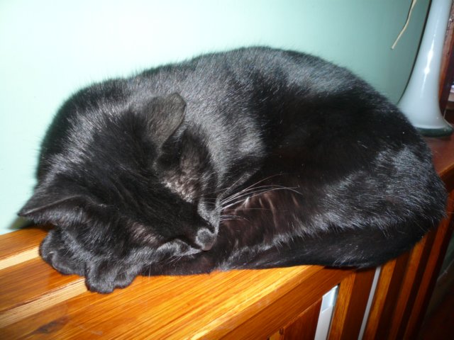 kuligwjulinku201156.jpg