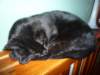 kuligwjulinku201156_small.jpg