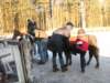 kuligwjulinku201199_small.jpg