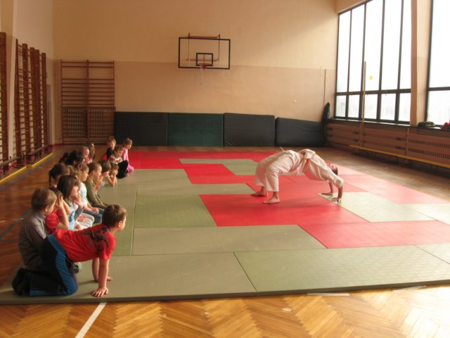 judo2011.jpg