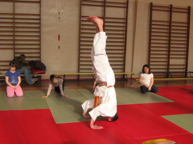 judo201134.jpg