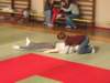 judo201153_small.jpg