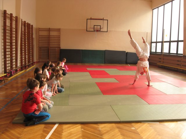 judo20117.jpg
