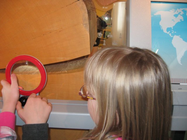 centrumnaukikopernikgrupa3201154.jpg