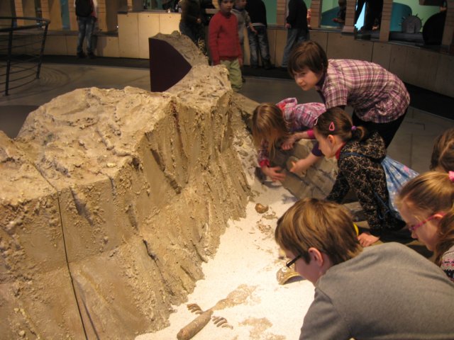 centrumnaukikopernikgrupa3201157.jpg