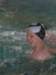 basenwsochaczewie201119_small.jpg