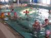 basenwsochaczewie20112_small.jpg