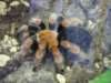 klasa1awzoov2011r124_small.jpg