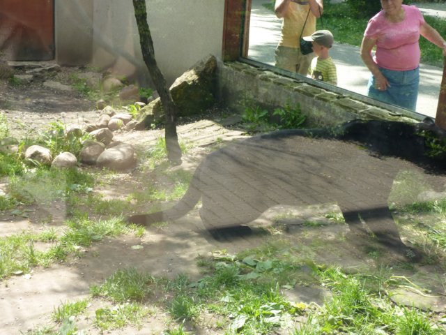 klasa1awzoov2011r128.jpg