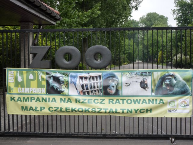 klasa1awzoov2011r3.jpg