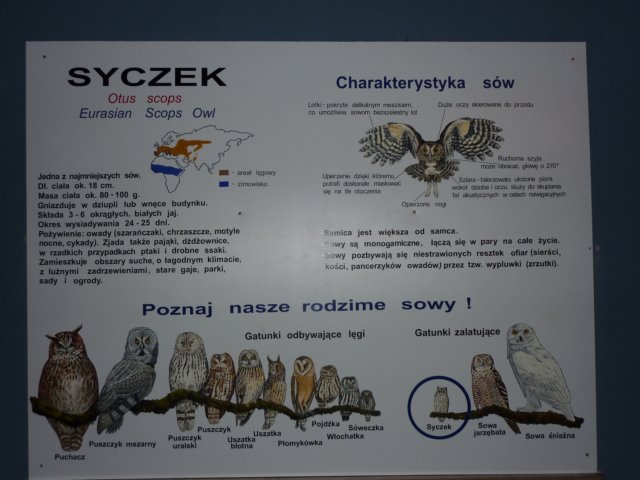 klasa1awzoov2011r44.jpg