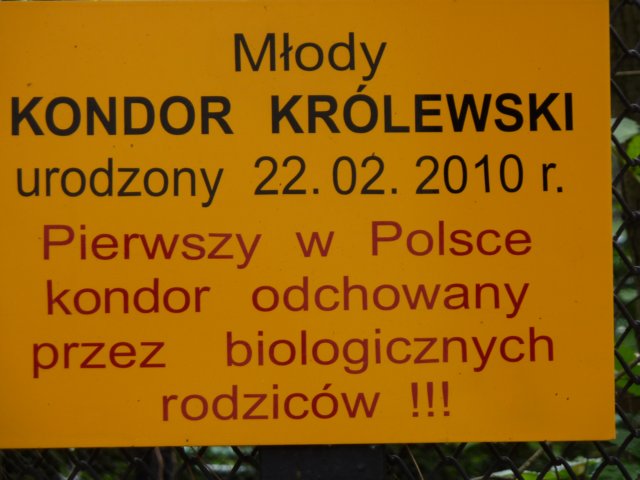klasa1awzoov2011r68.jpg