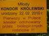 klasa1awzoov2011r68_small.jpg