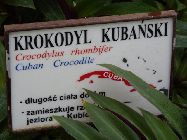 klasa1awzoov2011r88.jpg