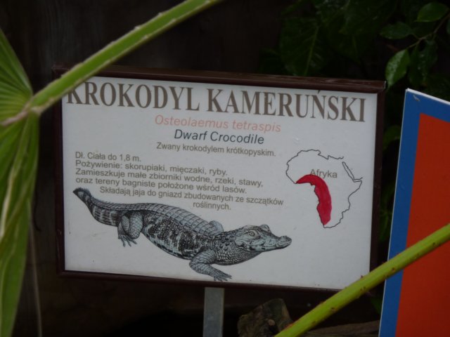 klasa1awzoov2011r91.jpg