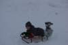 dsc05203_small.jpg