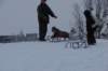 dsc05211_small.jpg