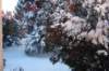 dsc05214_small.jpg