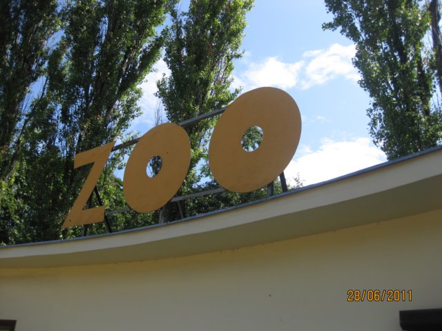 dzie2zoowwarszawie22.jpg