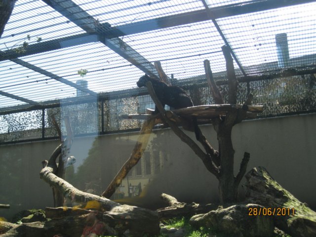 dzie2zoowwarszawie46.jpg