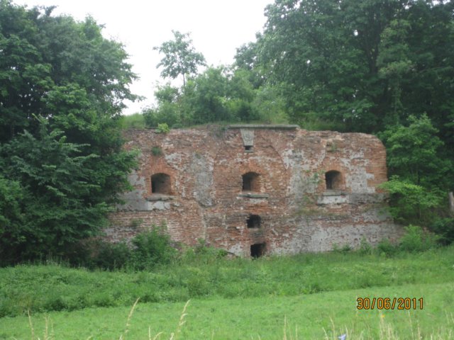 pkolonie2011dzie4049.jpg