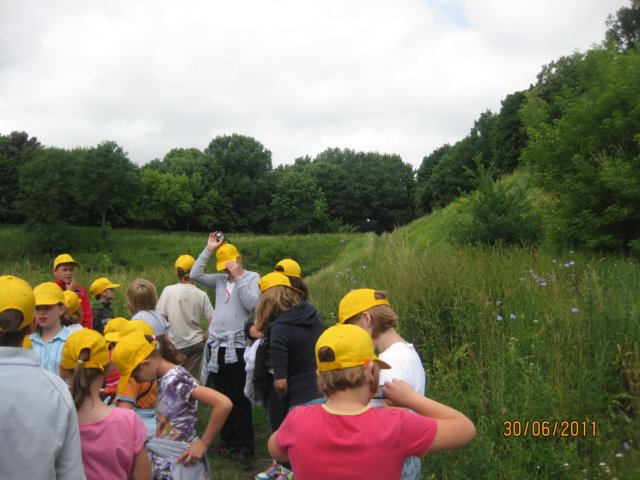 pkolonie2011dzie4052.jpg
