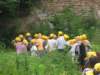pkolonie2011dzie4054_small.jpg