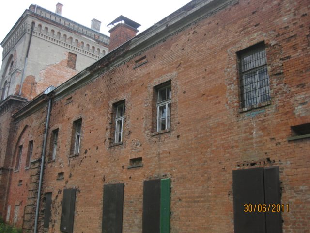 pkolonie2011dzie4071.jpg