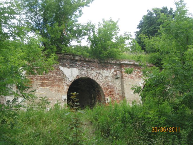pkolonie2011dzie4075.jpg