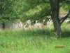 pkolonie2011dzie4081_small.jpg