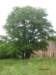 pkolonie2011dzie4088_small.jpg