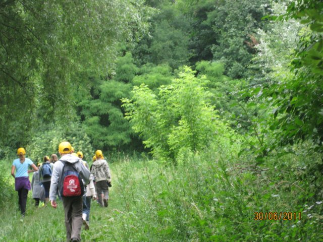 pkolonie2011dzie4098.jpg