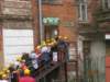 pkolonie2011dzie4118_small.jpg