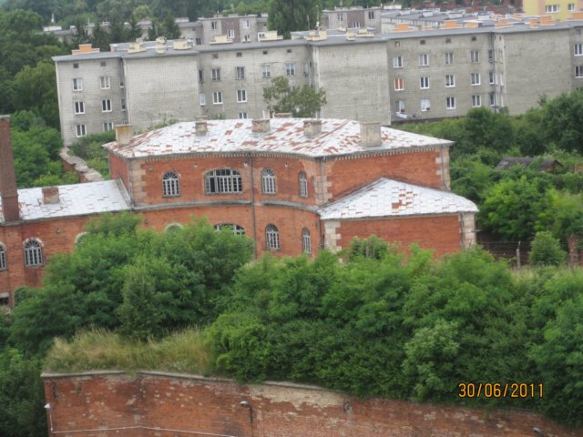 pkolonie2011dzie4135.jpg