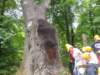 pkolonie2011dzie4167_small.jpg