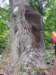 pkolonie2011dzie4168_small.jpg