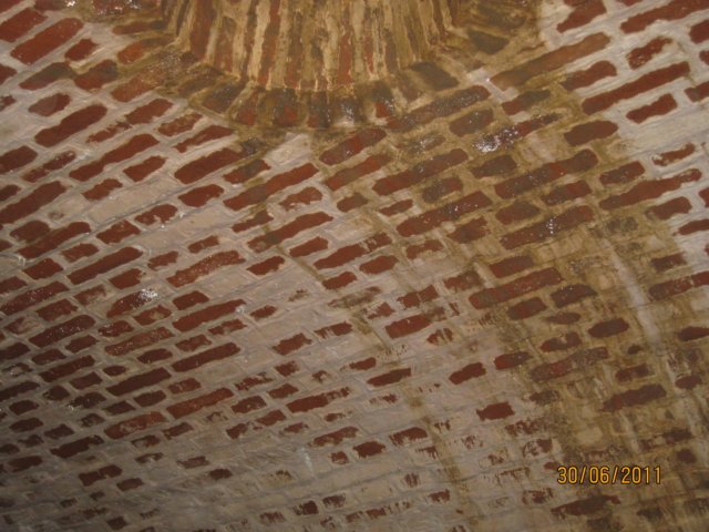 pkolonie2011dzie4187.jpg