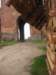 pkolonie2011dzie5016_small.jpg
