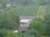 pkolonie2011dzie5038_small.jpg