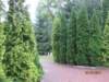 pkolonie2011dzie5080_small.jpg