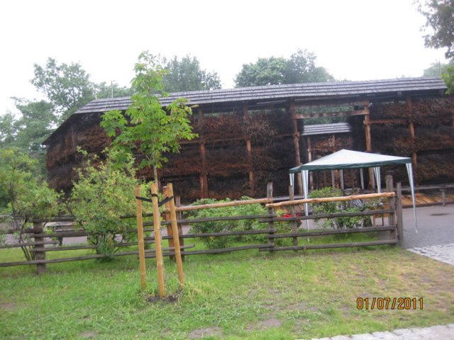 pkolonie2011dzie5086.jpg