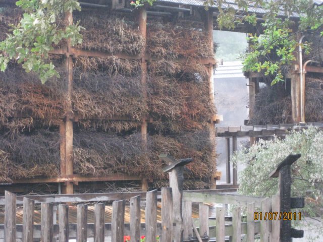 pkolonie2011dzie5089.jpg