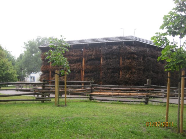 pkolonie2011dzie5098.jpg