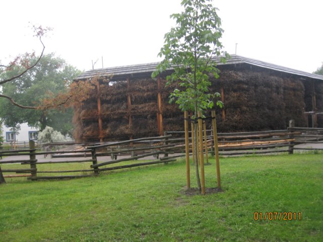 pkolonie2011dzie5099.jpg