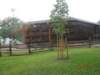 pkolonie2011dzie5099_small.jpg
