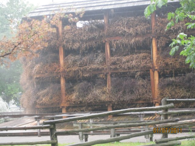pkolonie2011dzie5100.jpg