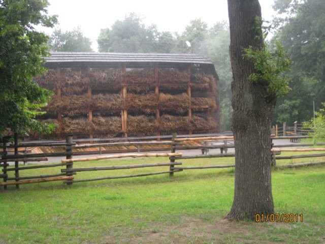pkolonie2011dzie5104.jpg