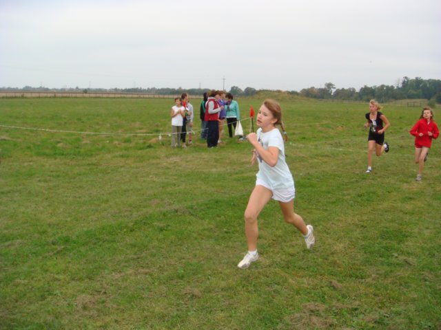 przeajewzielonkach290920116.jpg